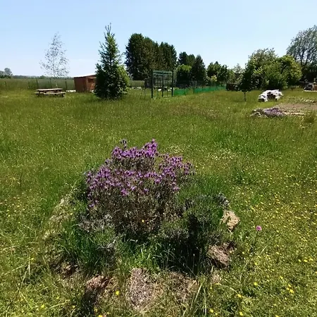 Les D'herande - Le Millesime